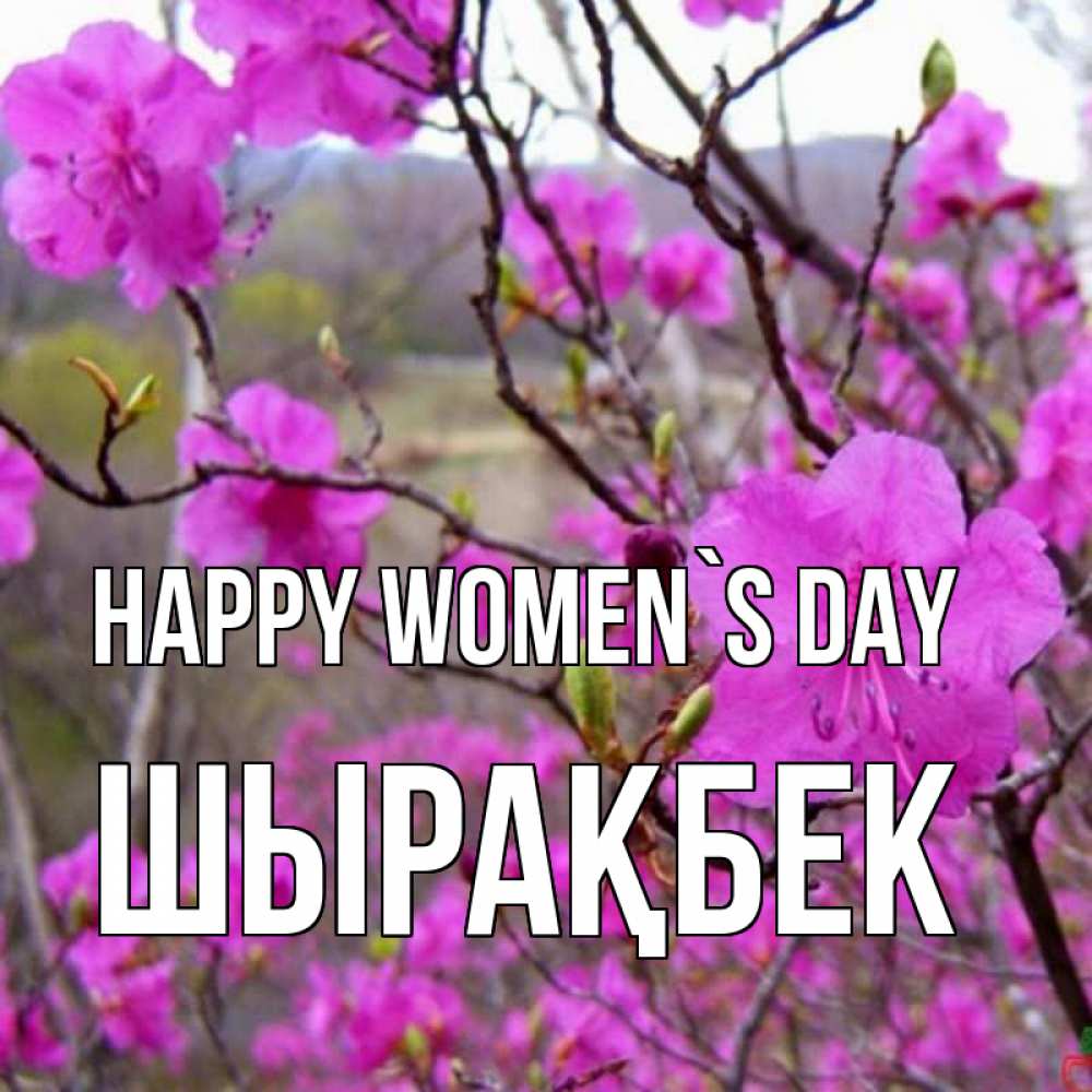 Greetings card с именем, ШЫРАҚБЕК happy women`s day международный женский день Greetings with text for free download 